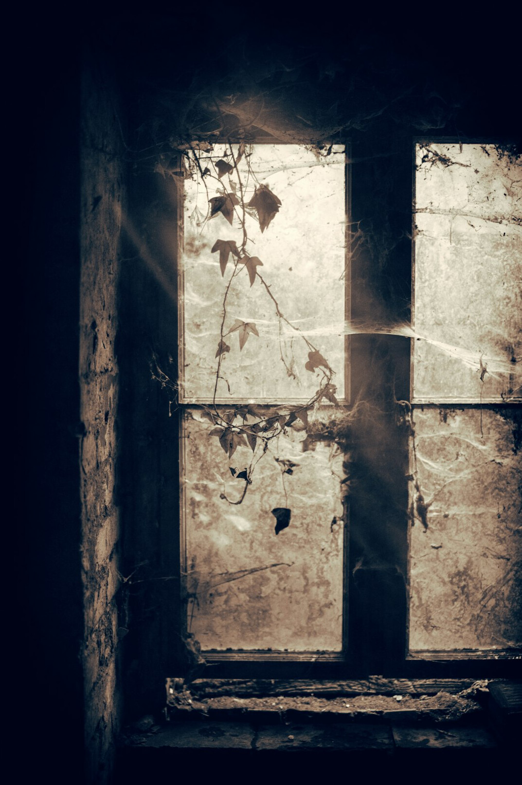 light through window
